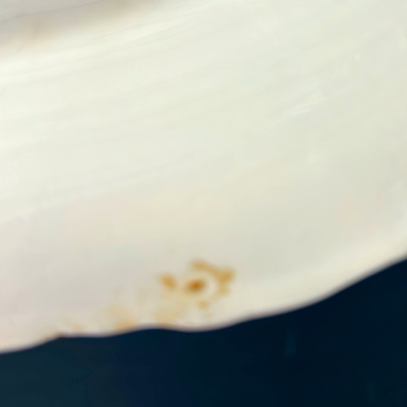 Vintage “Dominion Of Canada “ MASONS “Patent Ironstone Chine” 10.5” plate - Picture 5 of 8